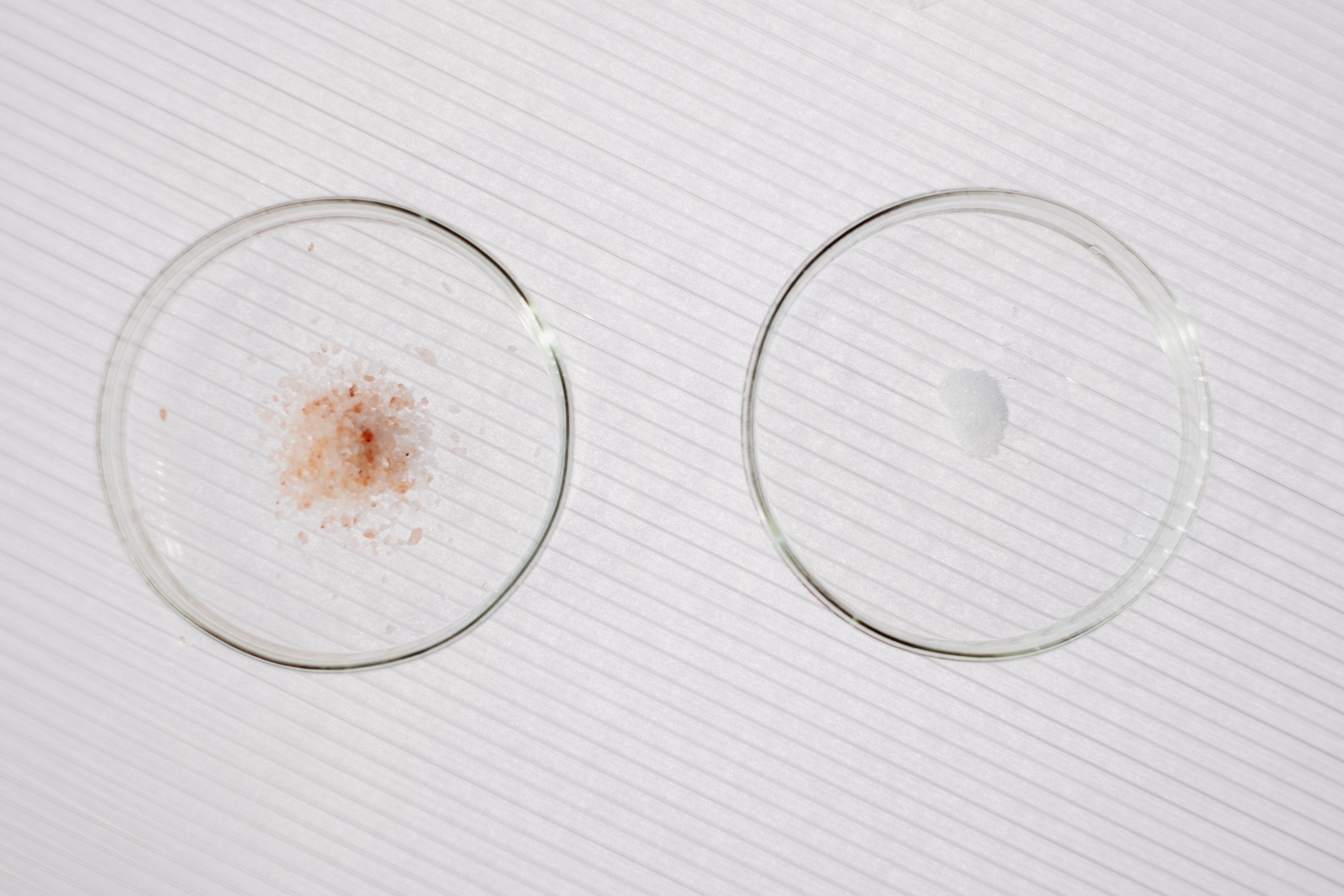 Top view of a minimalist chemistry experiment with two petri dishes on a white background.