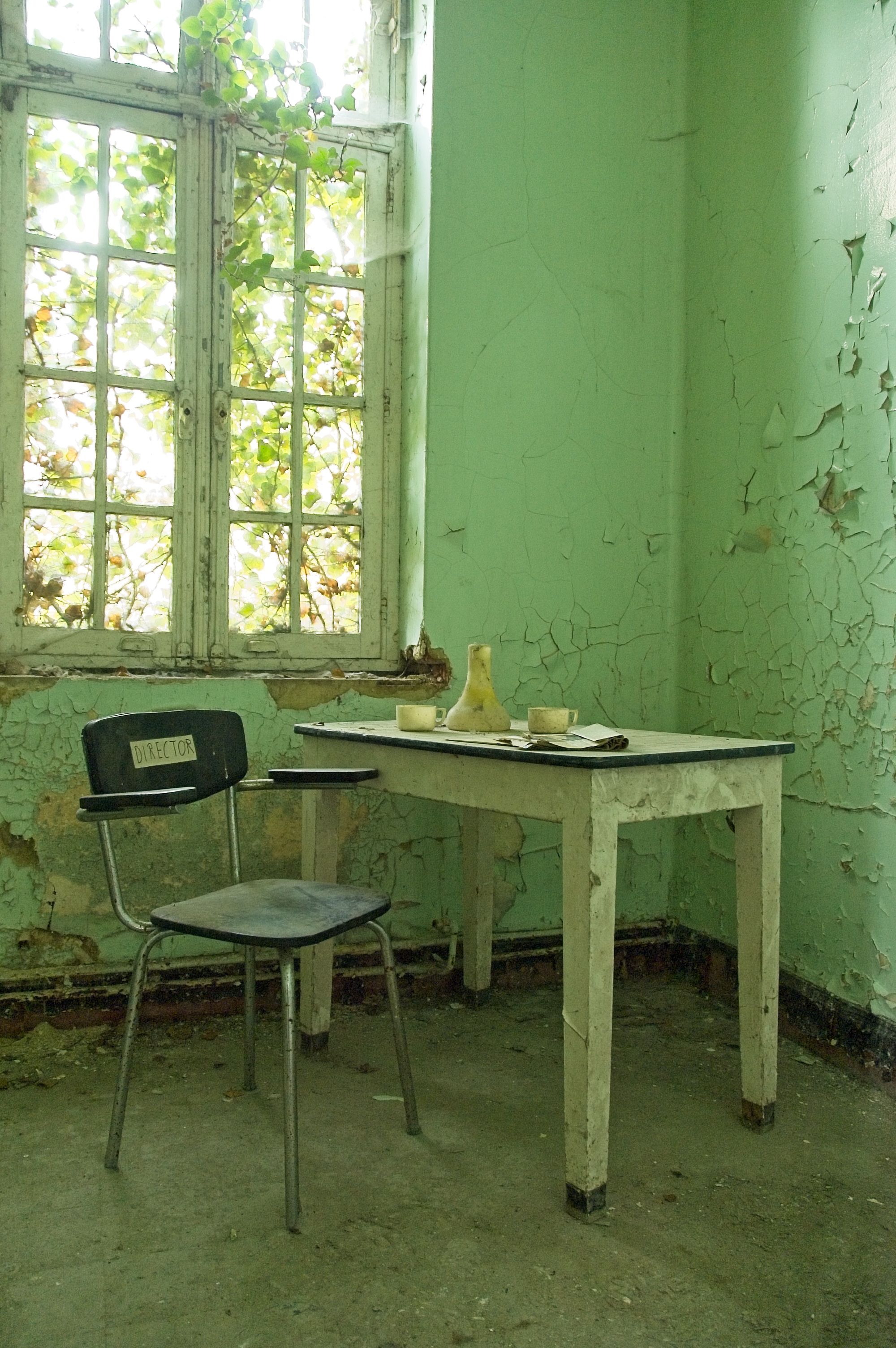 A decaying room with peeling paint, a vintage chair, table, and ivy-covered window.